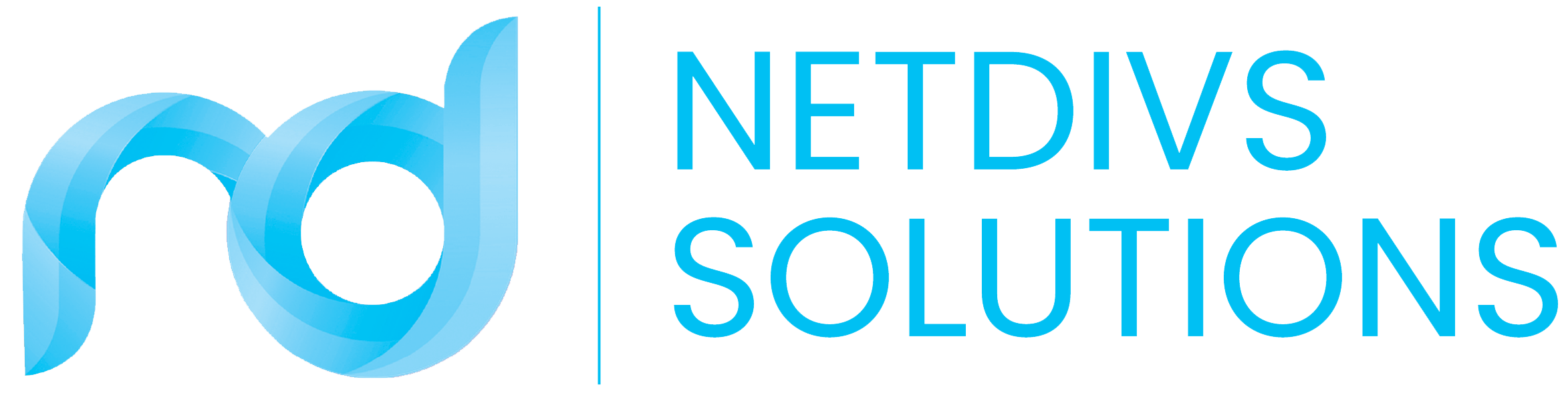 NetDivs Solutions